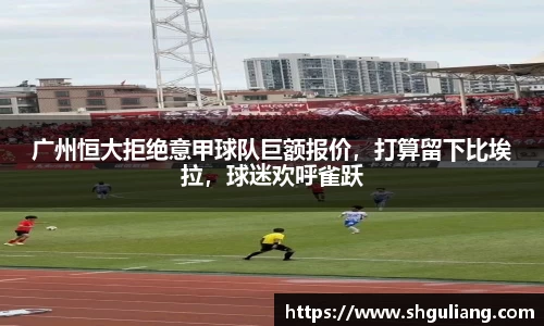 美嘉体育官方网站