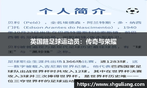 美嘉体育官网