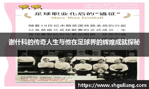 美嘉体育官方网站