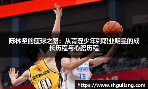 美嘉体育官方网站