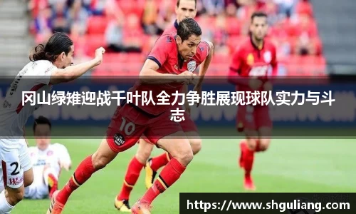 美嘉体育平台