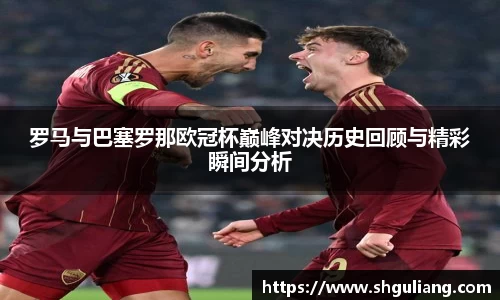 美嘉体育平台