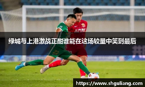 美嘉体育官网